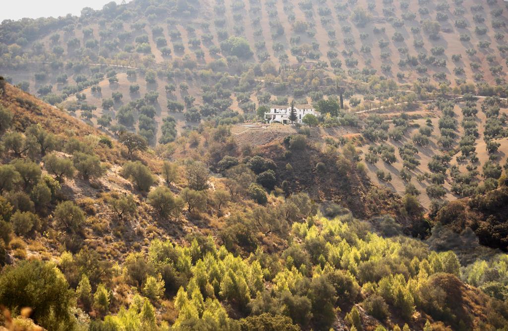 Caseria De San Jose Iznajar Exterior photo